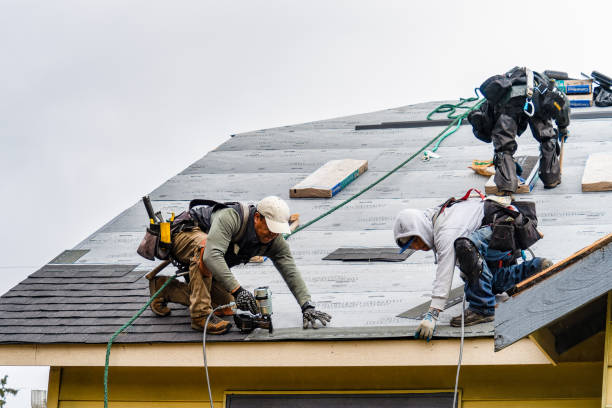 Professional Gutter Installation technician working in Plantersville, AL